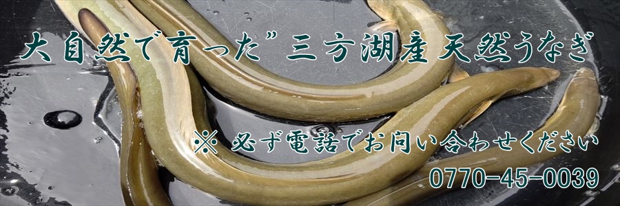うなぎ料理　徳右ェ門