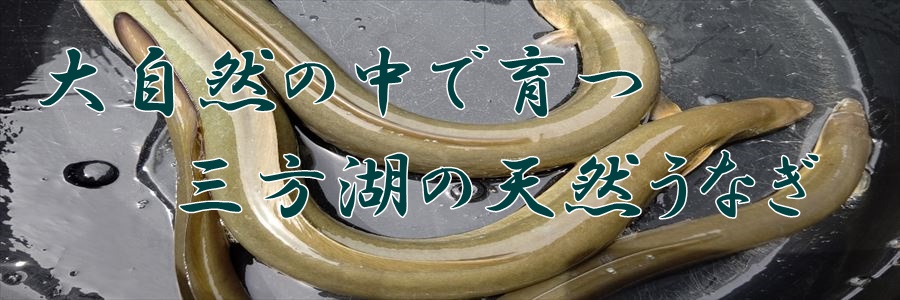 うなぎ料理　徳右ェ門