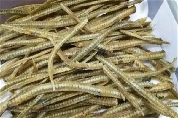 うなぎ料理　徳右ェ門