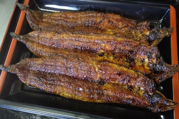 うなぎ料理　徳右ェ門