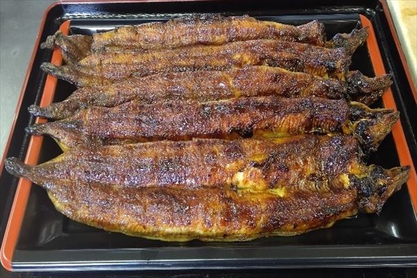 うなぎ料理　徳右ェ門