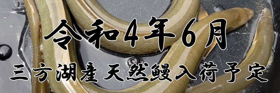 うなぎ料理　徳右ェ門