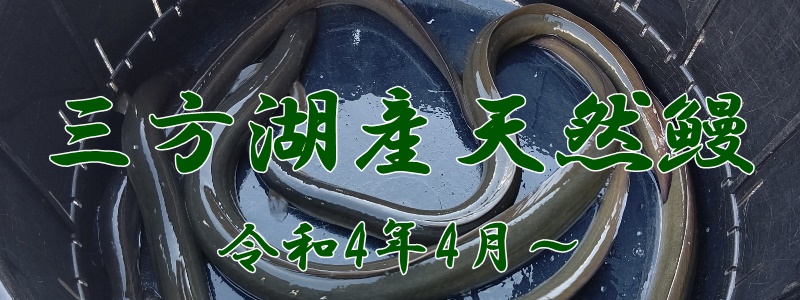 うなぎ料理　徳右ェ門