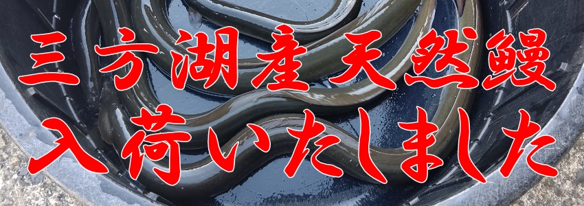 うなぎ料理　徳右ェ門