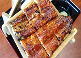 うなぎ料理　徳右ェ門