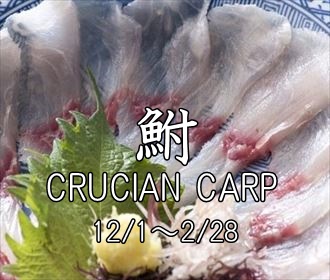 うなぎ料理　徳右ェ門