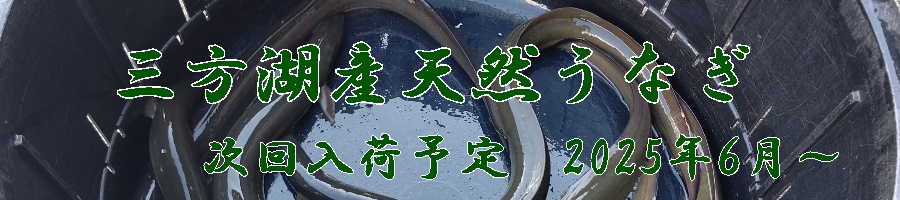 うなぎ料理　徳右ェ門
