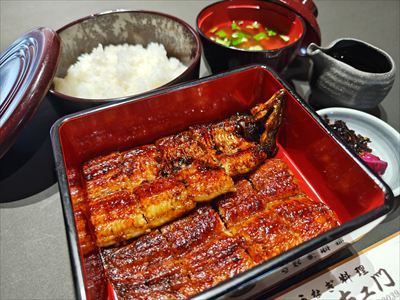 うなぎ料理　徳右ェ門