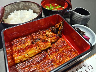 うなぎ料理　徳右ェ門