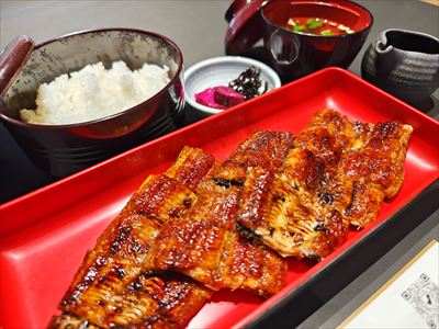 うなぎ料理　徳右ェ門