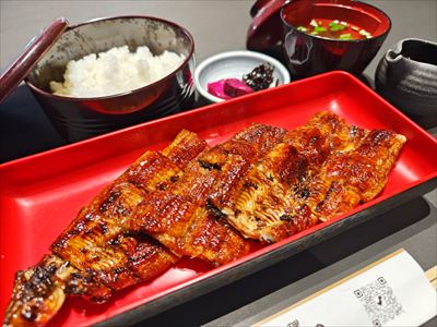 うなぎ料理　徳右ェ門