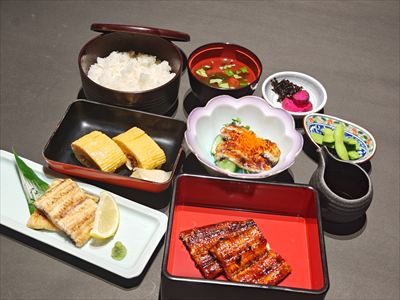 うなぎ料理　徳右ェ門
