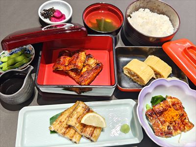 うなぎ料理　徳右ェ門