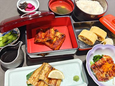 うなぎ料理　徳右ェ門