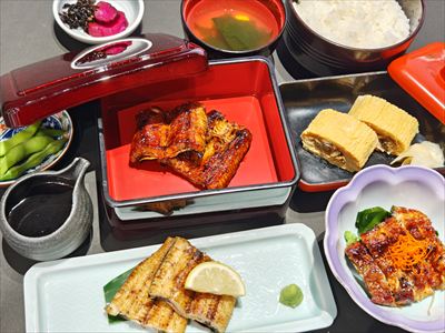 うなぎ料理　徳右ェ門
